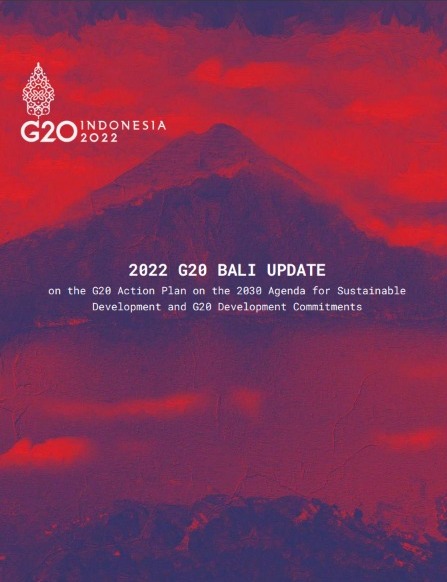 2022 G20 BALI UPDATE on the G20 Action Plan on the 2030 Agenda for Sustainable Development and G20 Development Commitments