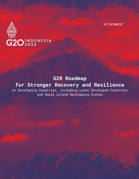 G20 Roadmap for Stronger Recovery and Resilience in Developing Countries, Including Least Developed Countries and Small Island Developing States